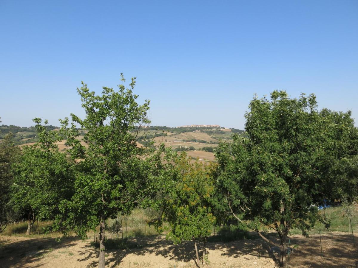 Agriturismo Alchimista Casole d'Elsa Luaran gambar