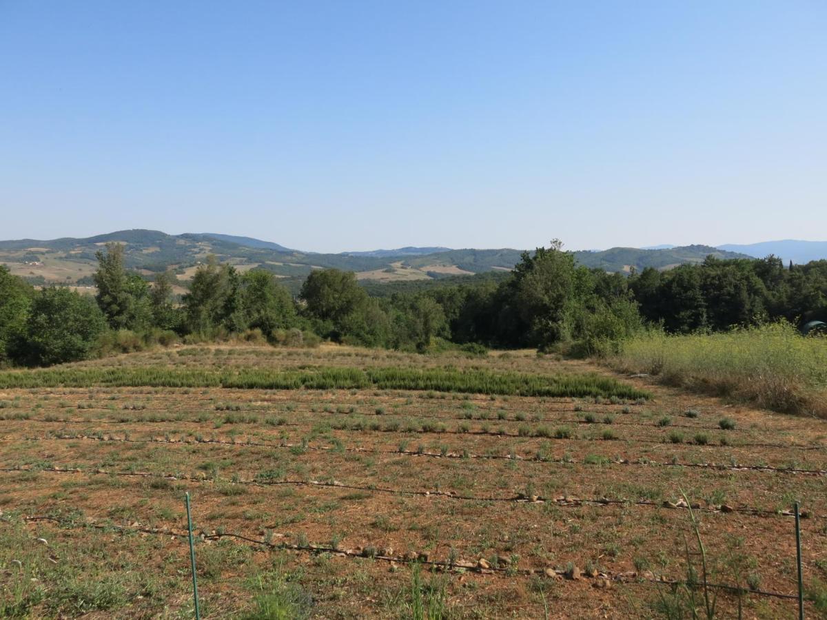 Agriturismo Alchimista Casole d'Elsa Luaran gambar